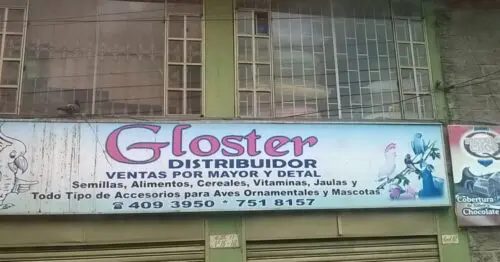 GLOSTER CALLE 11 CON 16 GLOSTER CALLE 11 CON 16